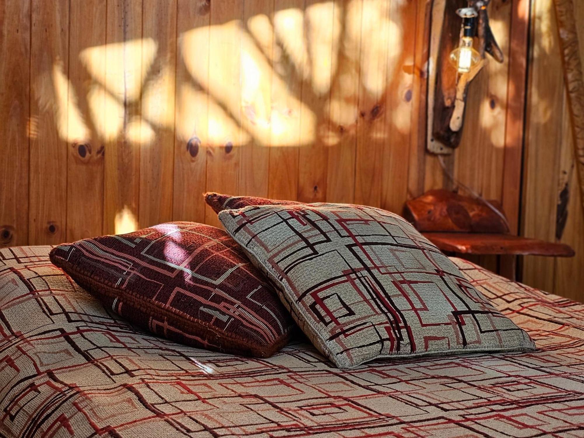 Ensueno Del Alma Villa Villa Pehuenia Ngoại thất bức ảnh